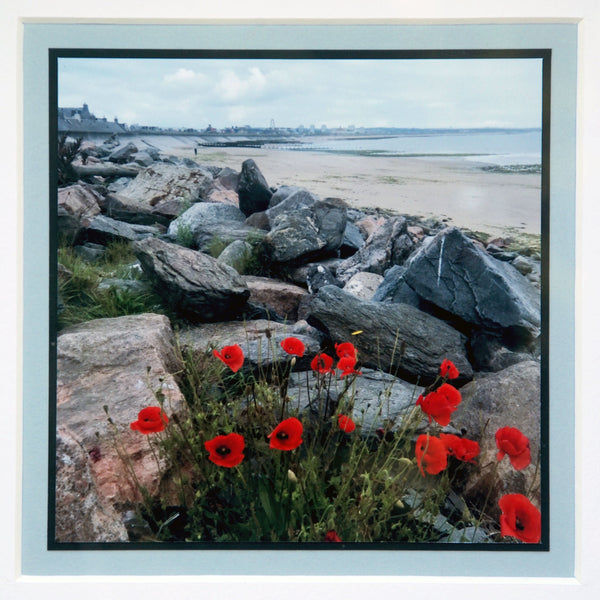 Framed Photographs