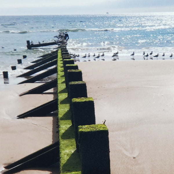 Aberdeen Beach Groynes - Photograph