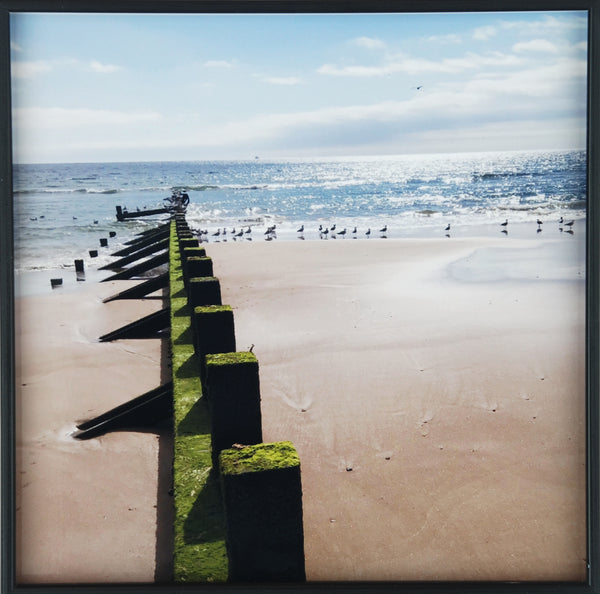 Aberdeen Beach Groynes - Photograph