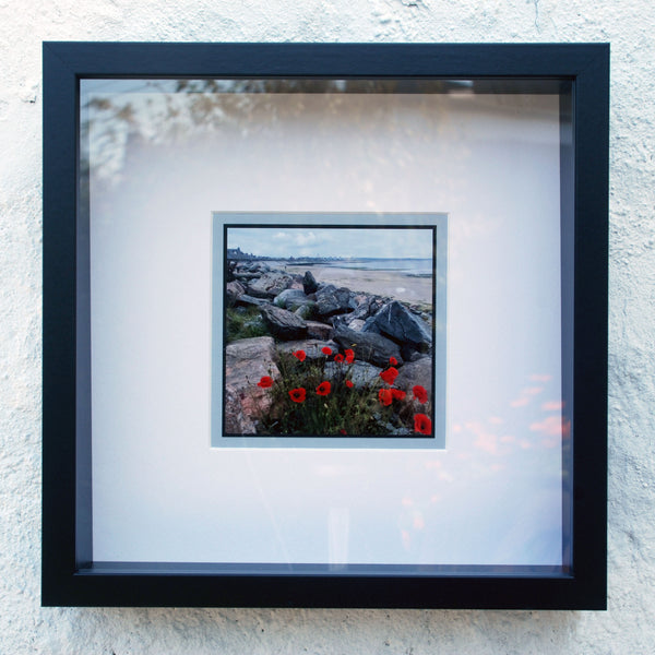 Aberdeen Beach with Poppies - Photograph