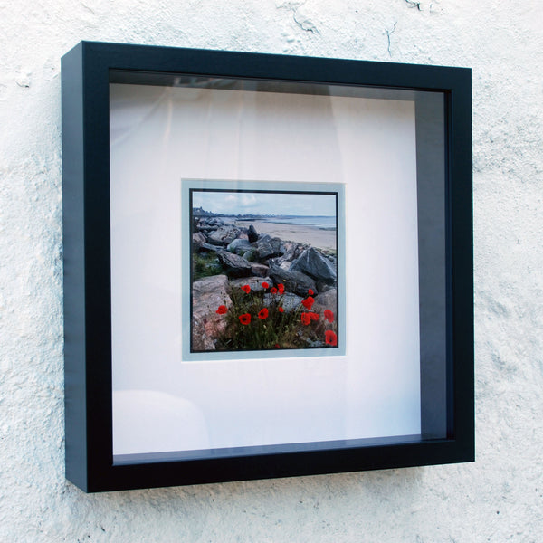 Aberdeen Beach with Poppies - Photograph