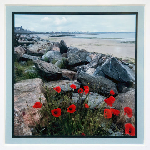 Aberdeen Beach with Poppies - Photograph