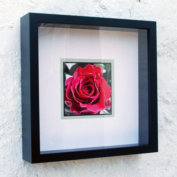 Red Rose - Framed Photograph