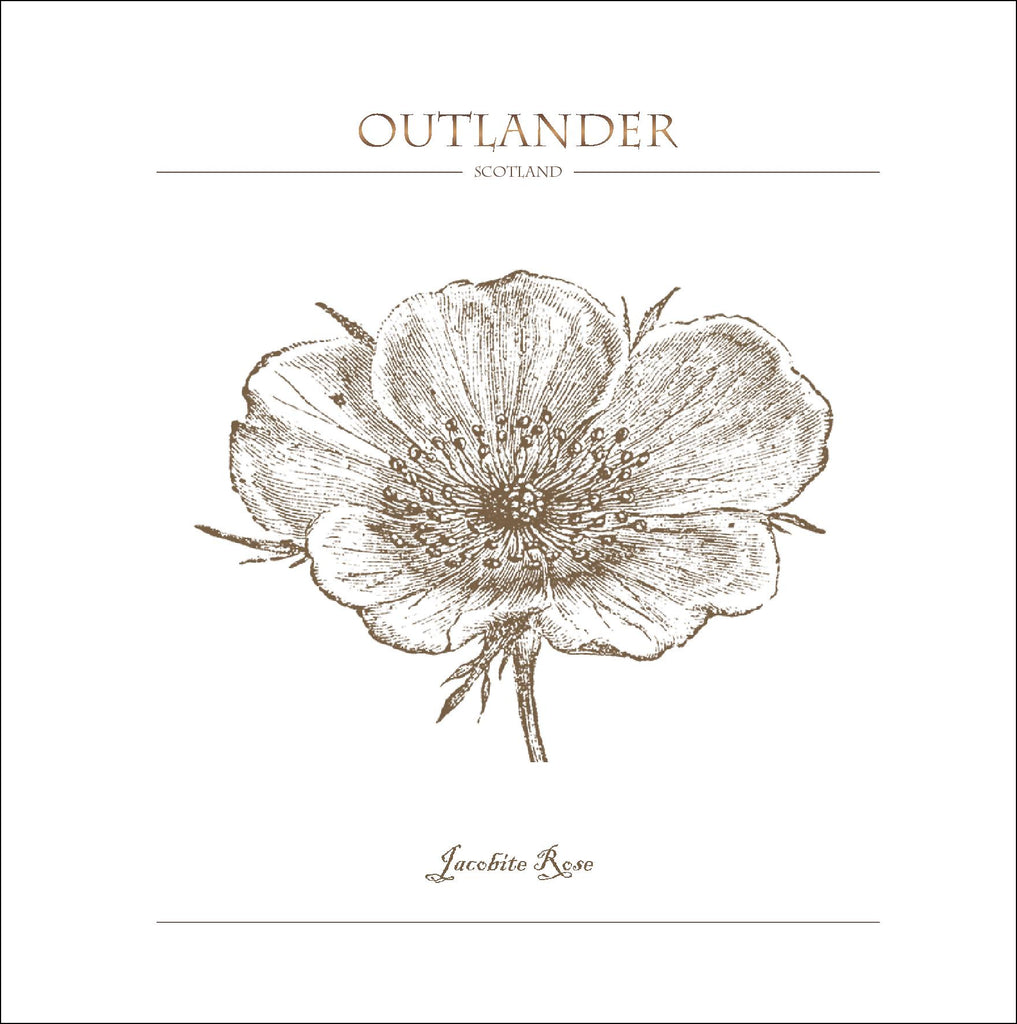 Outlander-inspired greeting card featuring White Scot's Jacobite Rose illustration. Made in Scotland.
