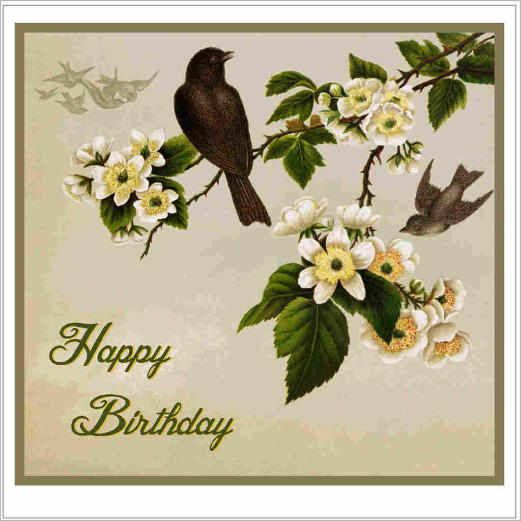 Birthday greeting card with vintage blackbirds and blossom illustration