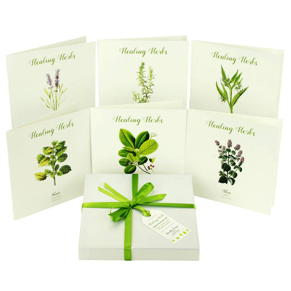 Outlander-inspired healing herb greeting card box set - made in Scotland