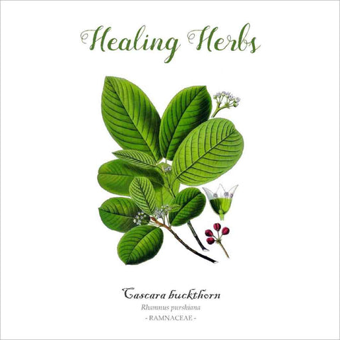Outlander-inspired Healing Herbs Greeting Card - cascara buckthorn