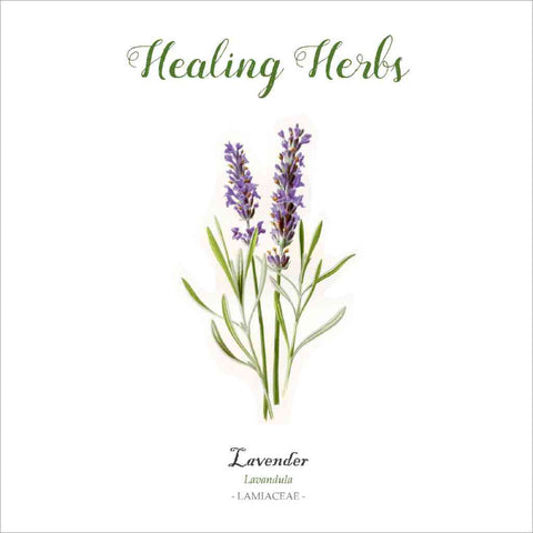 Outlander-inspired Healing Herbs Greeting Card - lavender