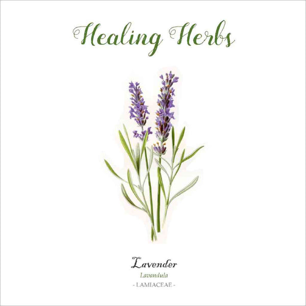 Outlander-inspired healing herb greeting card lavender made in Scotland