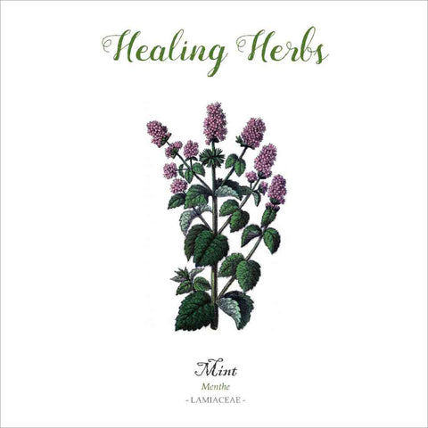 Outlander-inspired Healing Herbs Greeting Card - mint