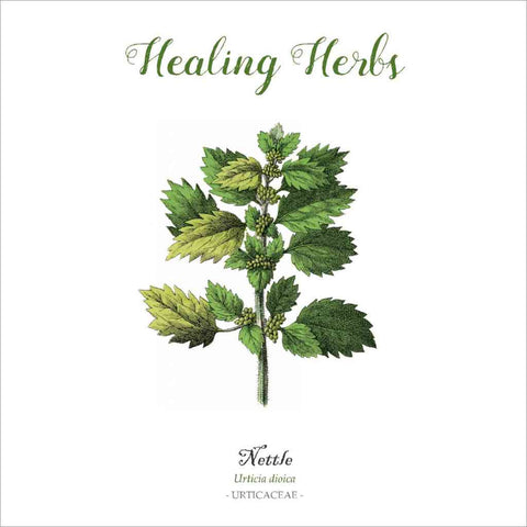 Outlander-inspired Healing Herbs Greeting Card - nettle