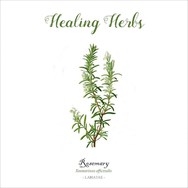 Outlander-inspired healing herb greeting card - rosemary - made in Scotland